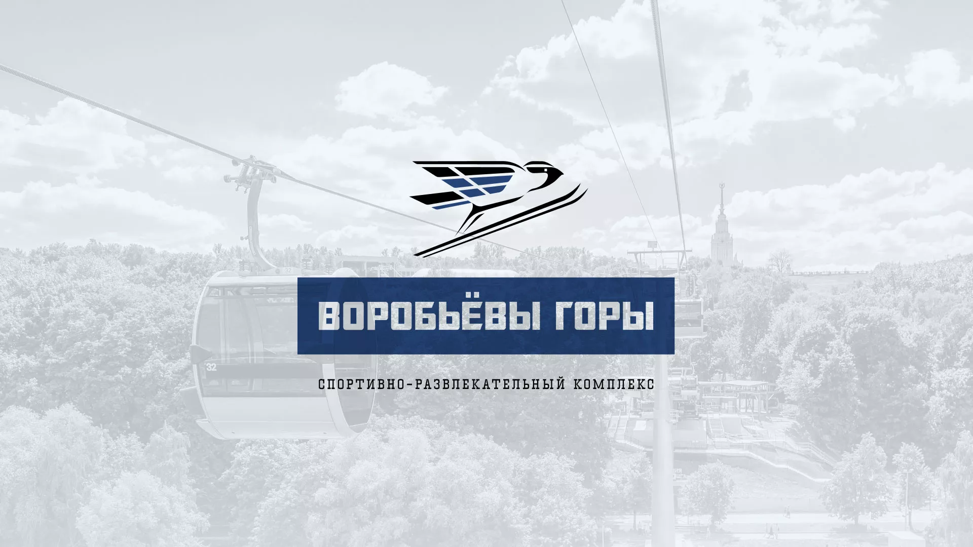 Разработка сайта в Брянске для спортивно-развлекательного комплекса «Воробьёвы горы»